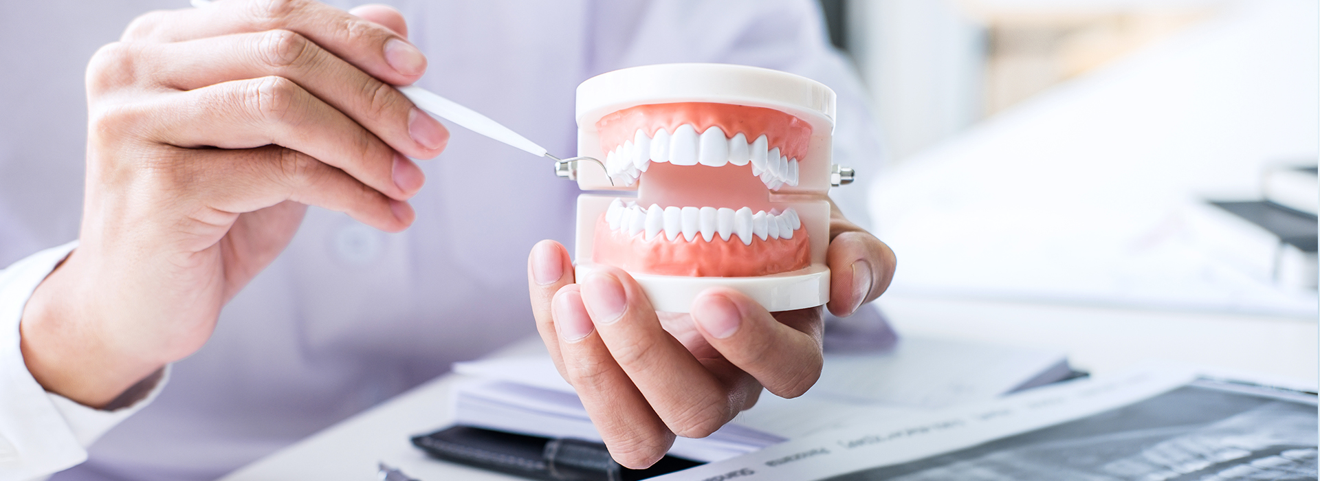 A person holding a mug with a dental model in it, while another hand holds a toothbrush, against a blurred background that suggests an office setting.